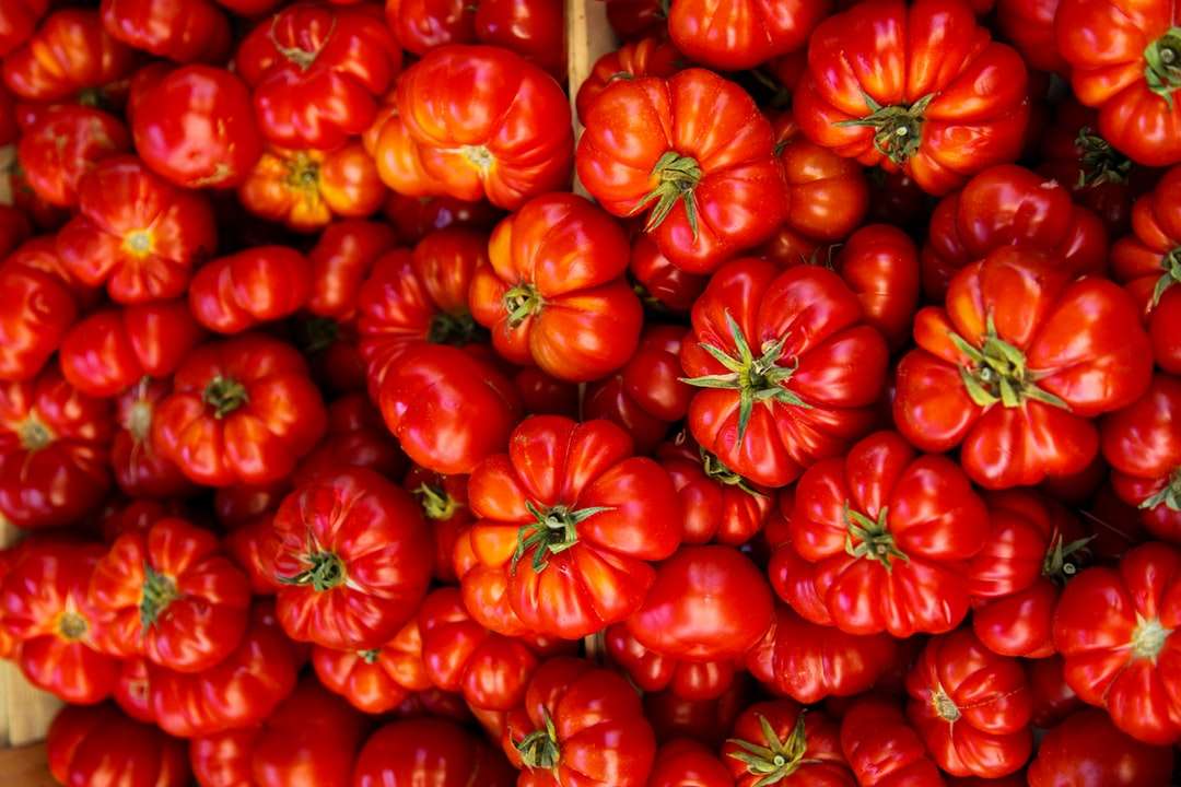 Czerwony pomidorowy partia w pudełku puzzle online