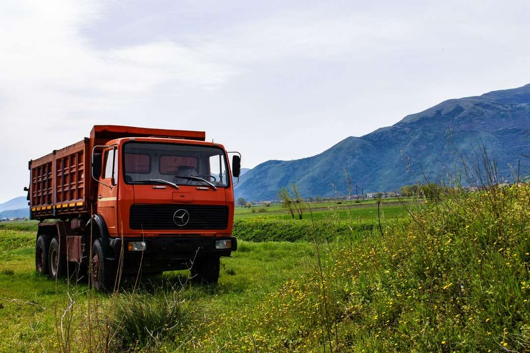 Czerwona ciężarówka na zielonej trawie polu podczas dnia puzzle online