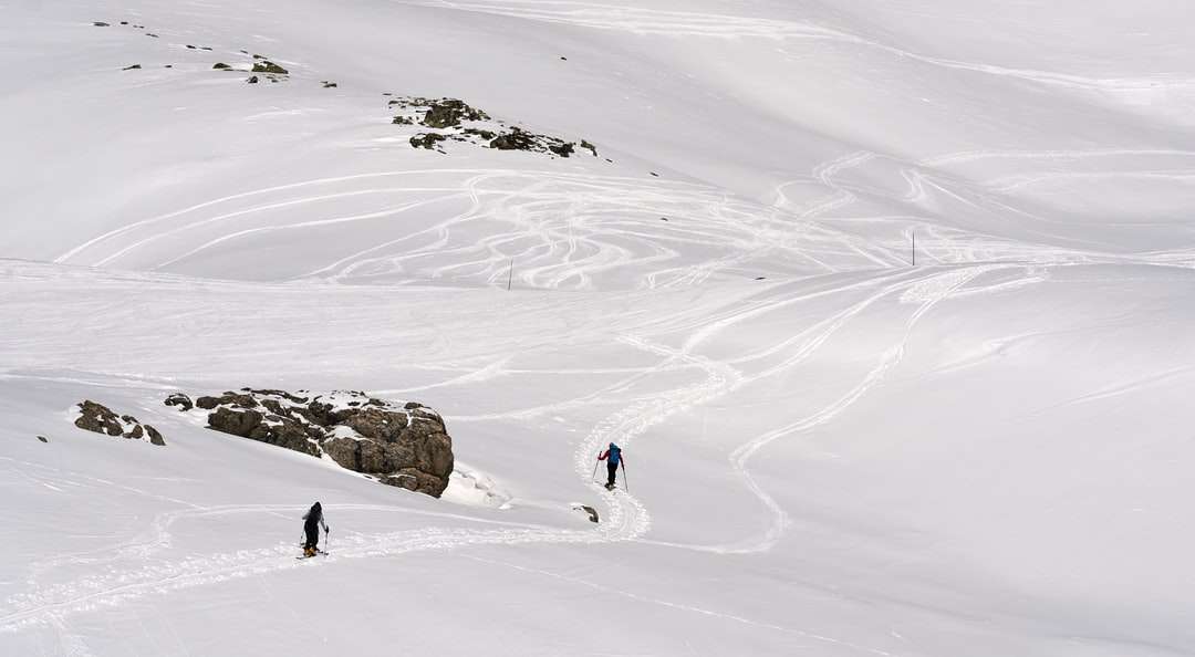 ludzie chodzą po zaśnieżonym polu w ciągu dnia puzzle online