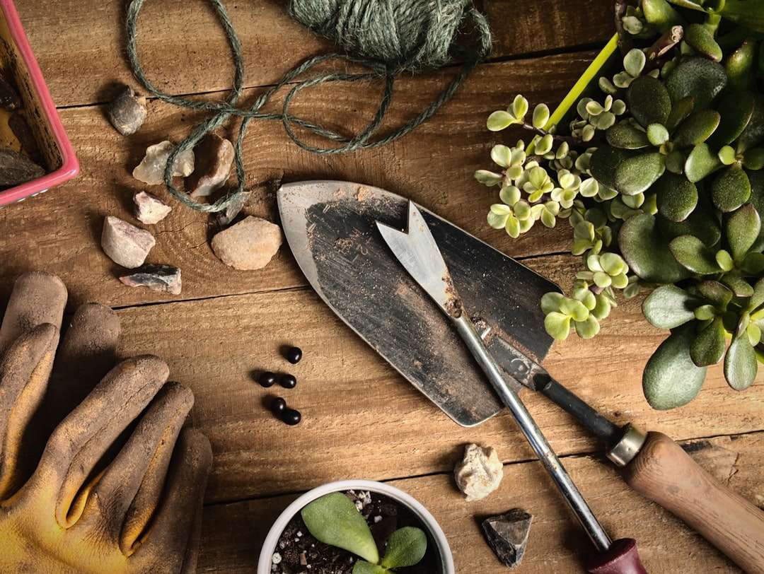 Brązowy drewniany nóż obok zielonej rośliny puzzle online