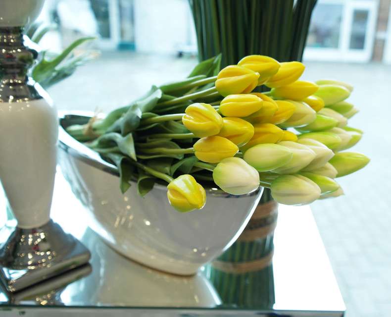żółte i białe tulipany puzzle online