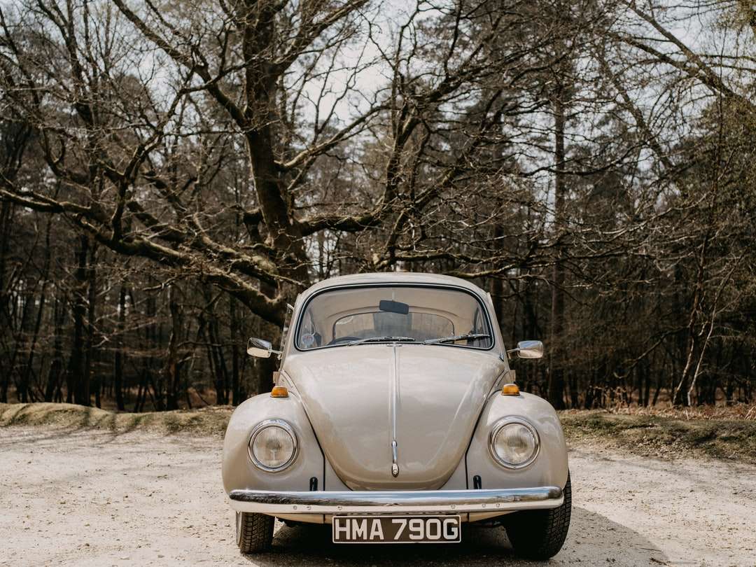 Beżowy Volkswagen Beetle zaparkowany na brudnej drodze w pobliżu nagich drzew puzzle online