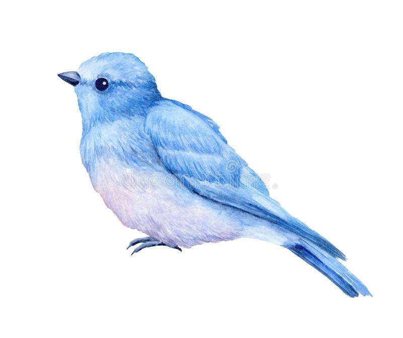 Śliczny mały błękitny ptak puzzle online