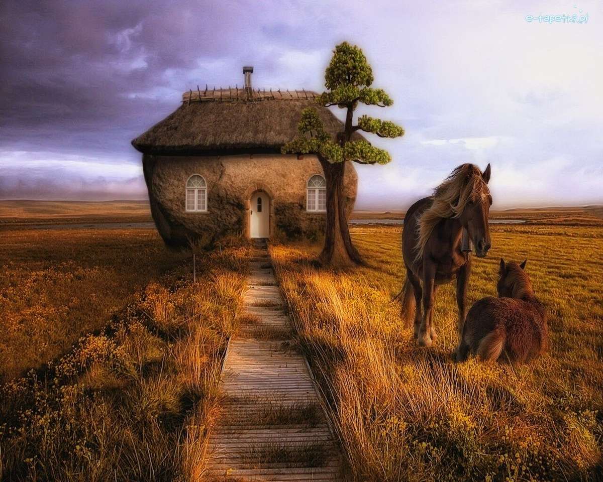 Dwa konie na zewnątrz domu puzzle online