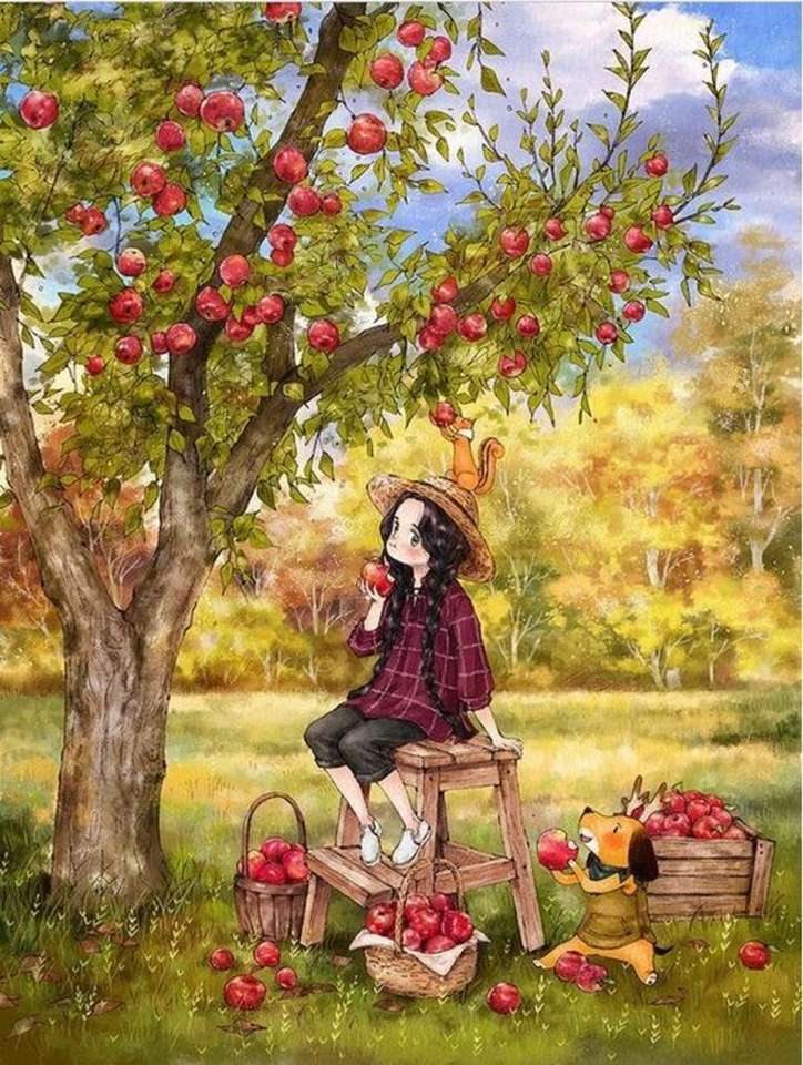 zbieranie jabłek puzzle online
