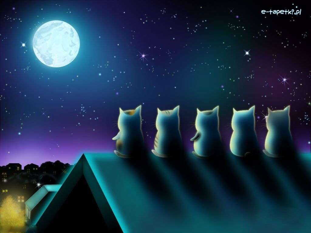 Pięć kotów patrzy na księżyc puzzle online