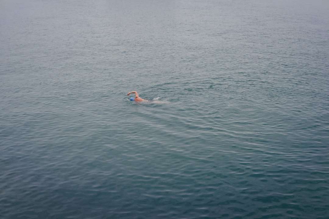 osoba w niebiesko-białych szortach pływająca po morzu puzzle online