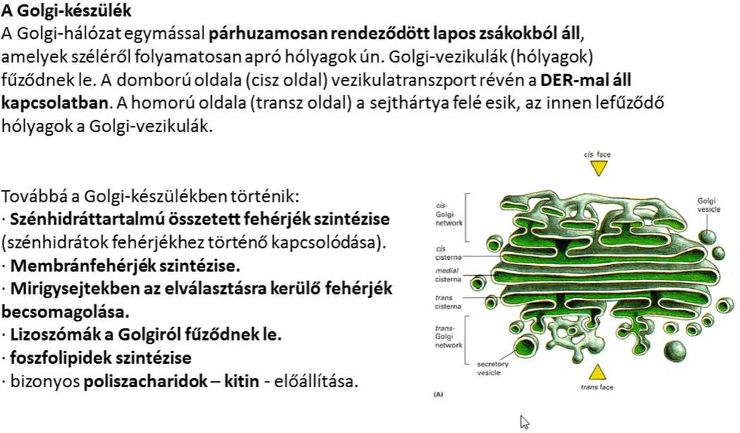 puzzle próba puzzle online