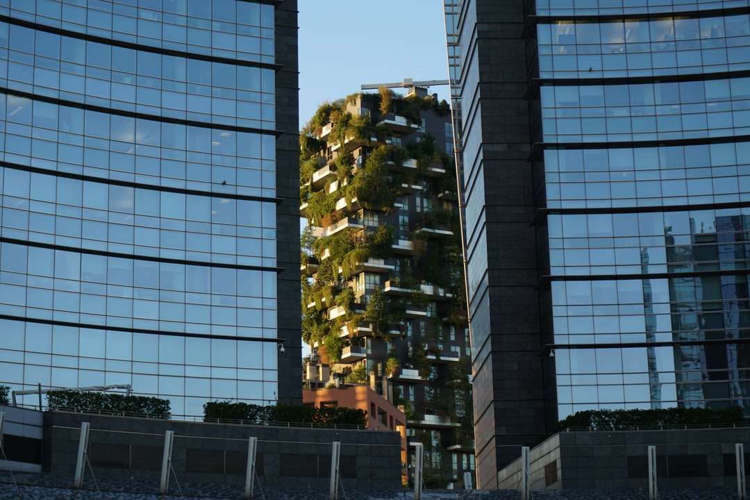 zielone drzewo przed budynkiem w ciągu dnia puzzle online