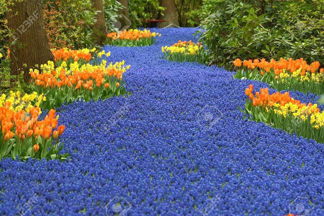 Ogród z kwiatami puzzle online