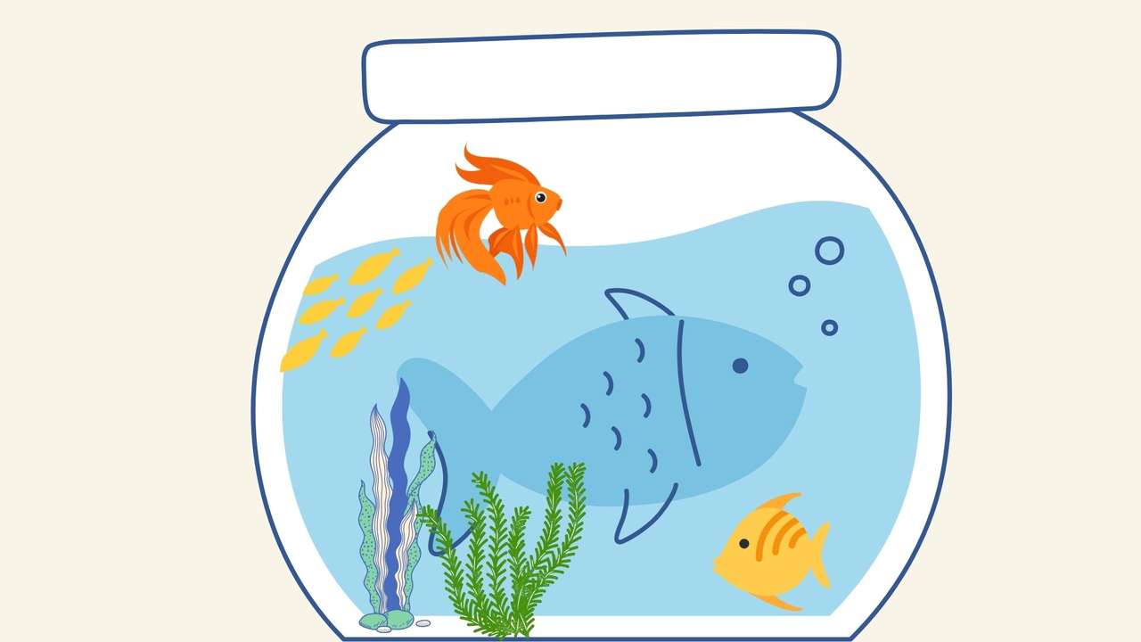 Stwórz akwarium dla rybek puzzle online