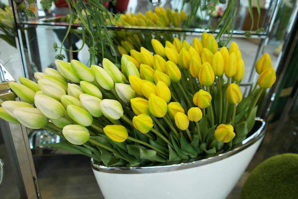 Żółto-białe tulipany puzzle online