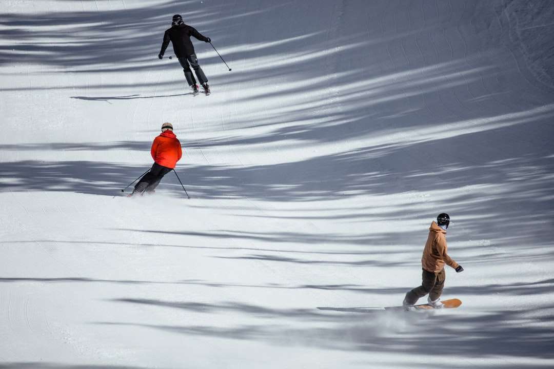 Człowiek w brązowej kurtce i szarych spodniach gospodarstwa biegunów narciarskich puzzle online