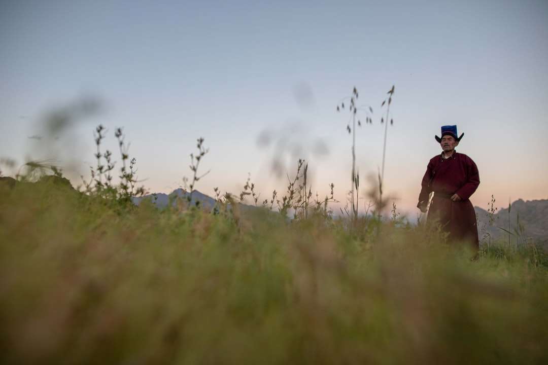Osoba w czarnej kurtce spaceru na zielonej trawie polu puzzle online