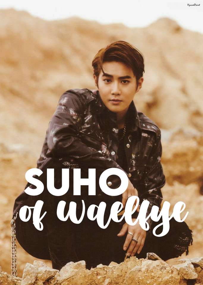 Waelfye suho puzzle online