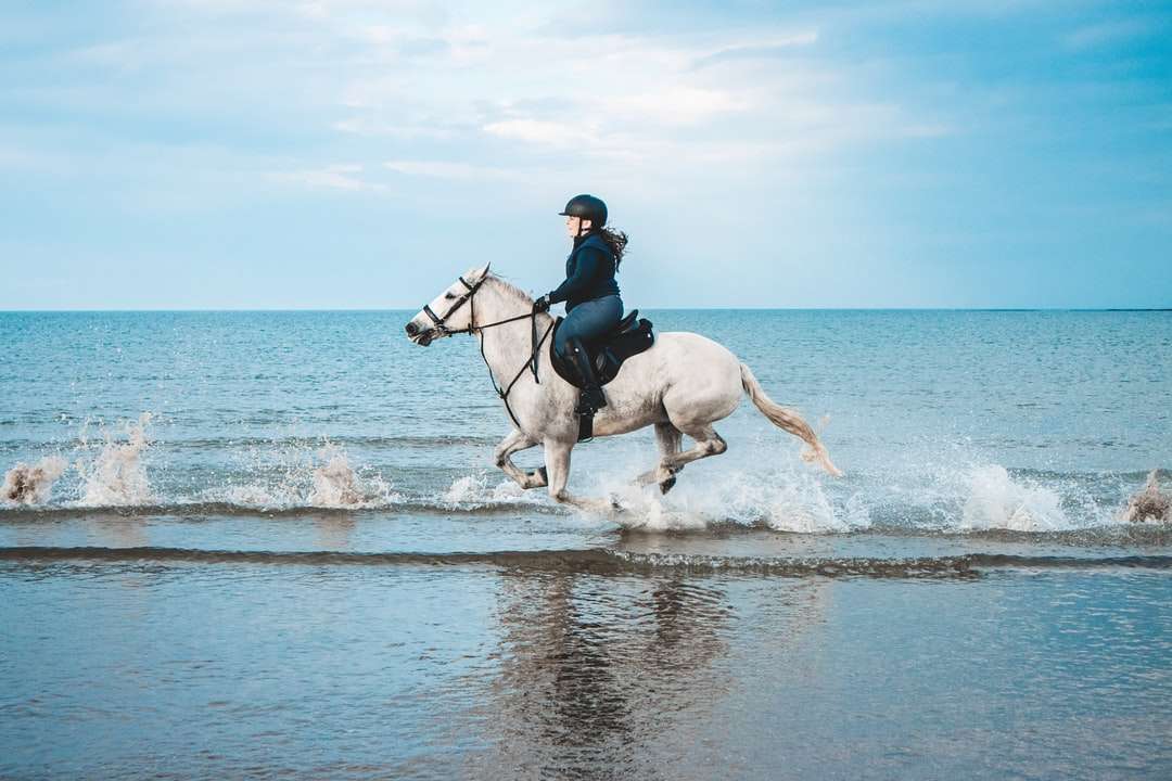 Mężczyzna w czarnej kurtce jazda na białym koniu na wodzie puzzle online