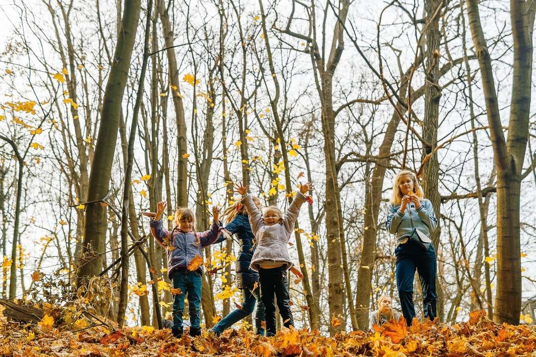 ludzie stojący na brązowym pniu drzewa w ciągu dnia puzzle online