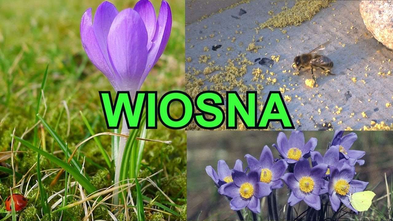 Oznaki wiosny puzzle online