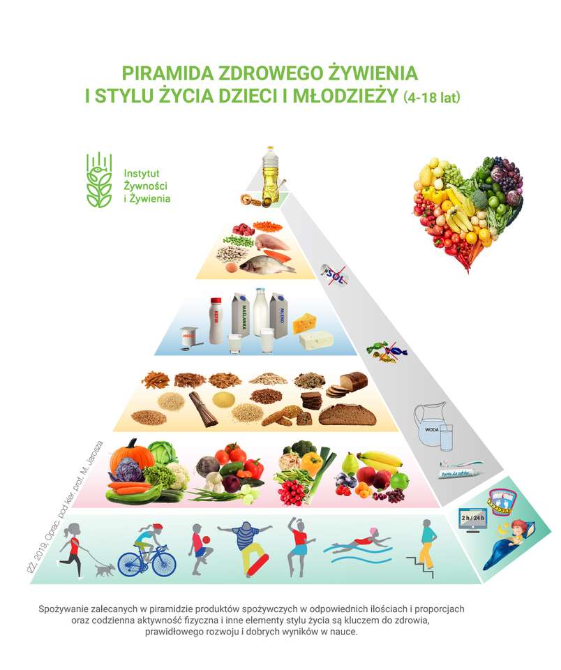 Pirámide de nutrición para niños y jóvenes. rompecabezas