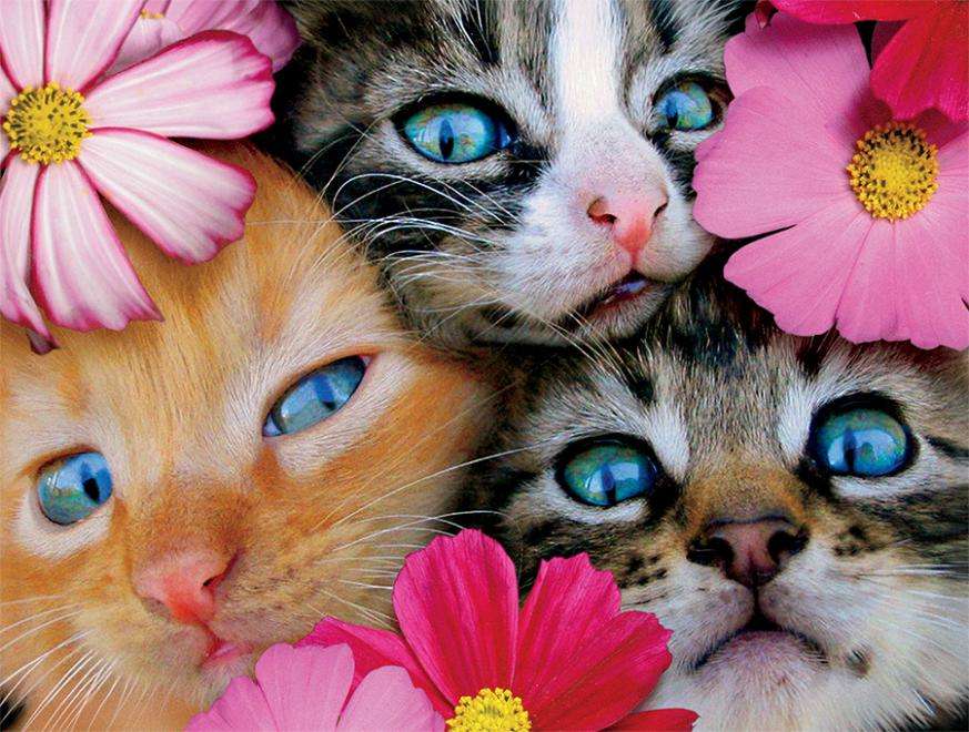 Kotki wśród kwiatów puzzle online