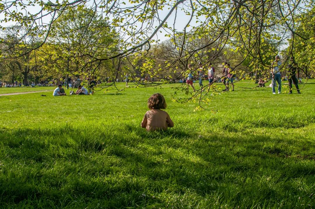Dzieci siedzi na zielonej trawie polu w ciągu dnia puzzle online