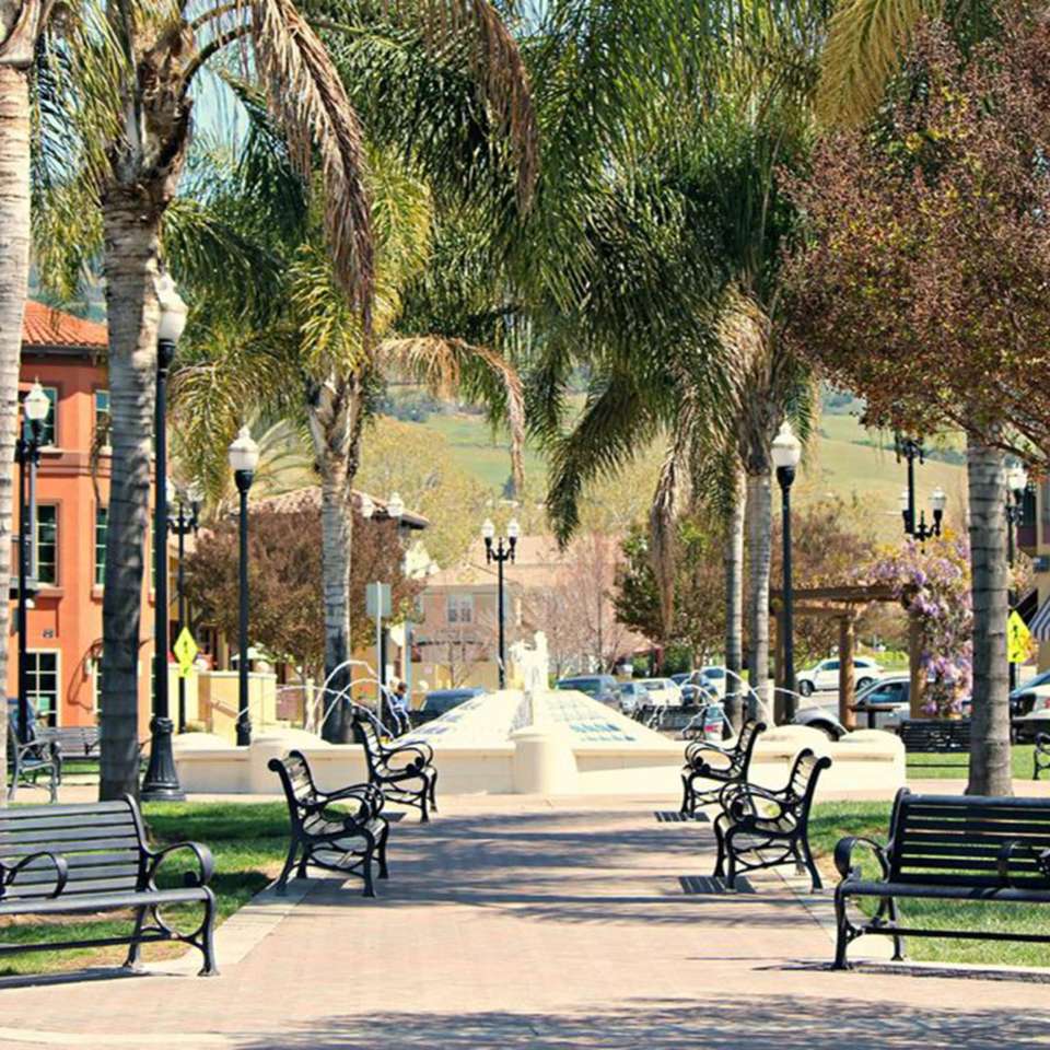 Avenue with benches puzzle