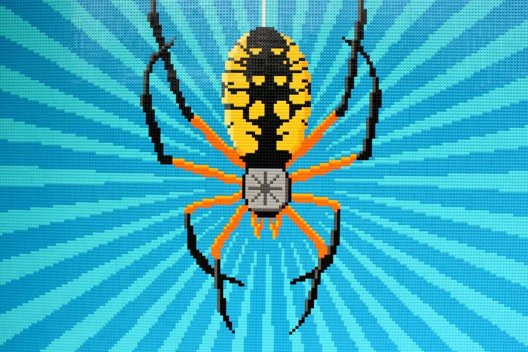 Czarny i żółty pająk na białym i niebieskim włókienniku w paski puzzle online