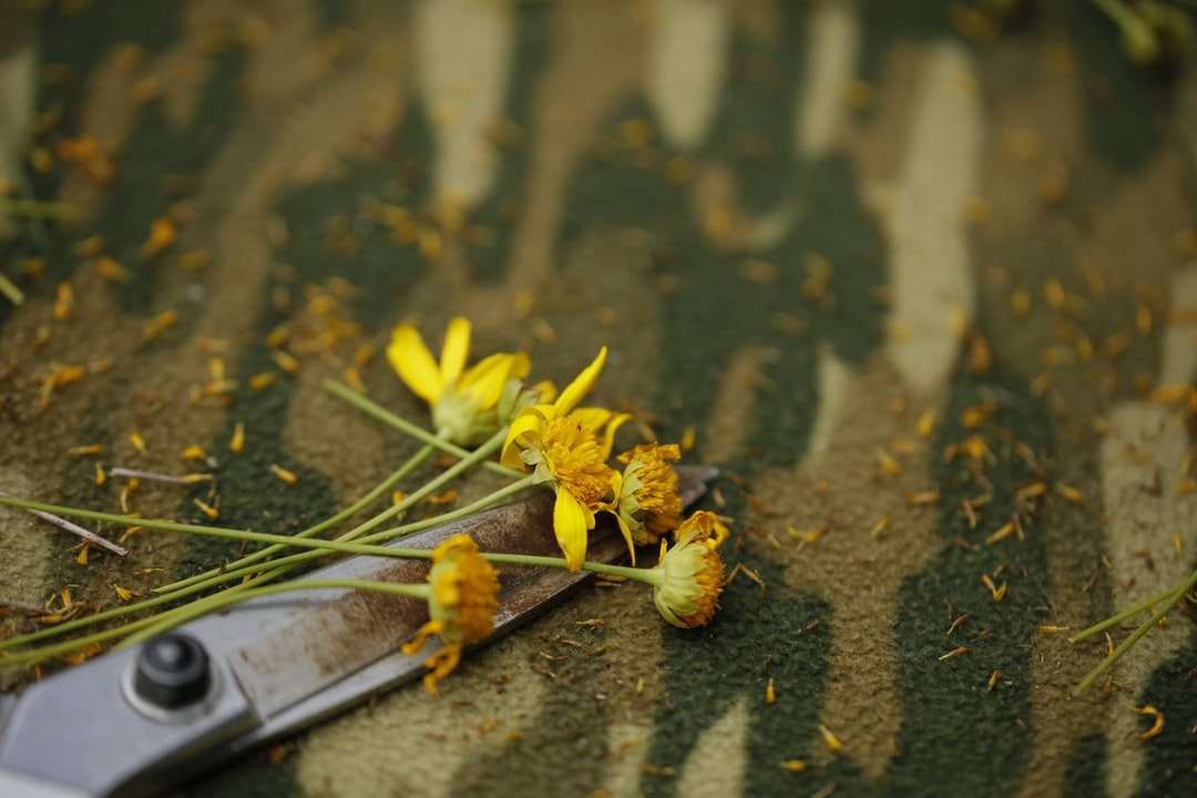 Żółty kwiat na brown drewnianej powierzchni puzzle online