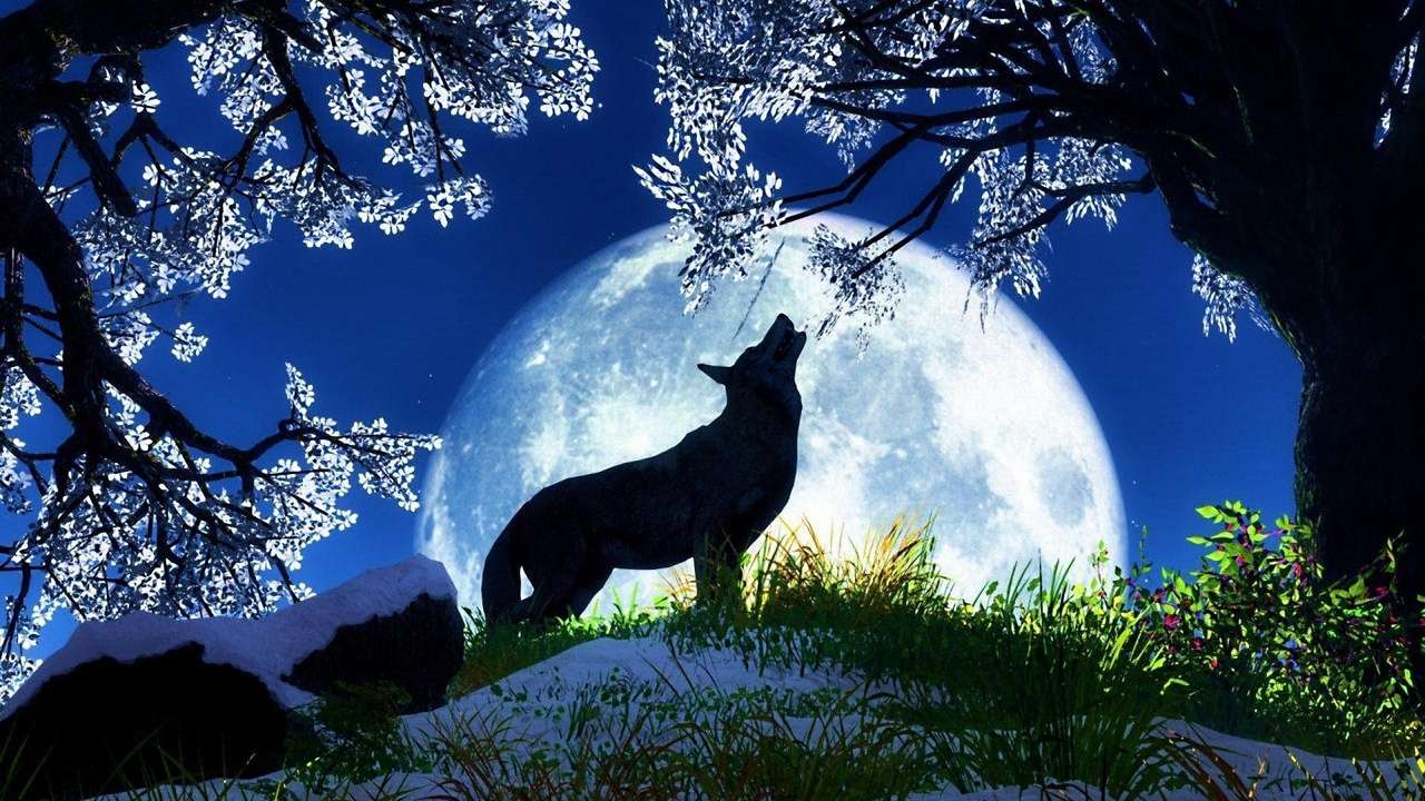 Wolf night puzzle online