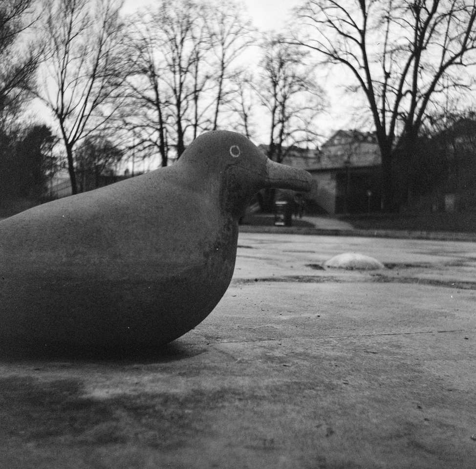 Черна птича статуя на сив бетонен под пъзел
