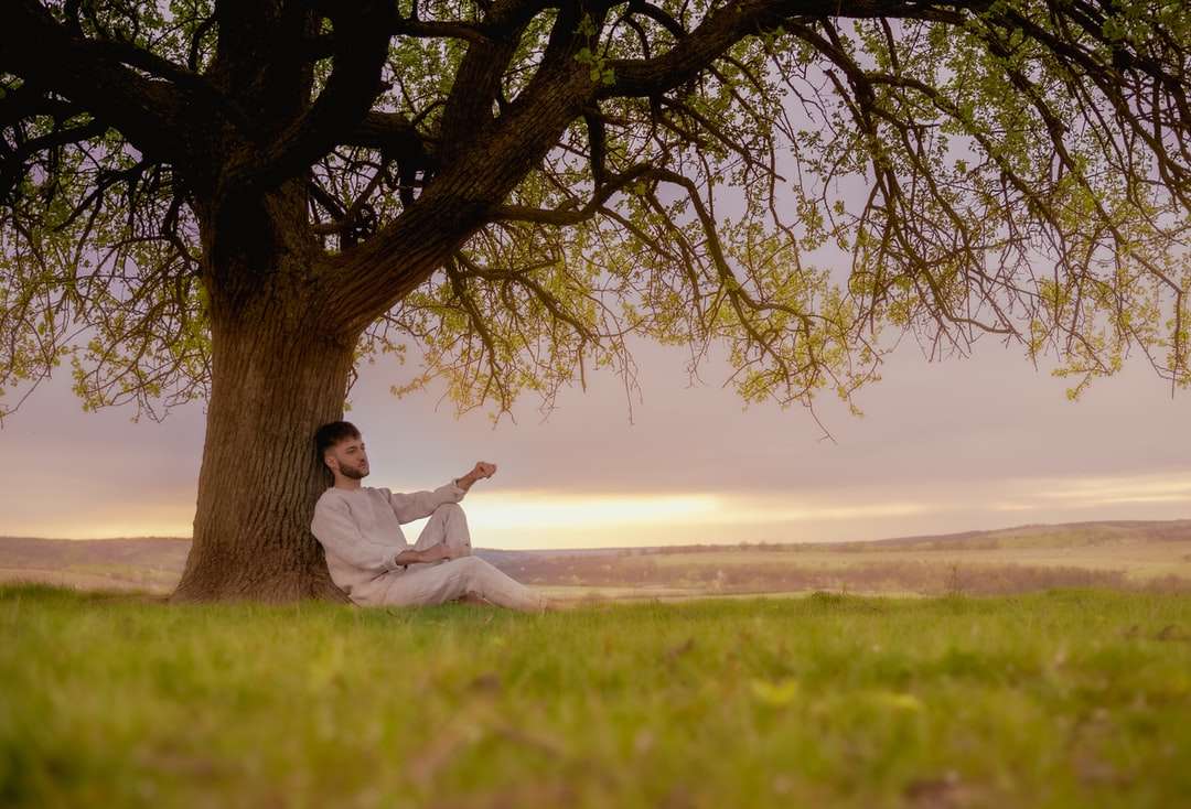 Homme en chemise de robe blanche assise sur le champ d'herbe verte puzzle