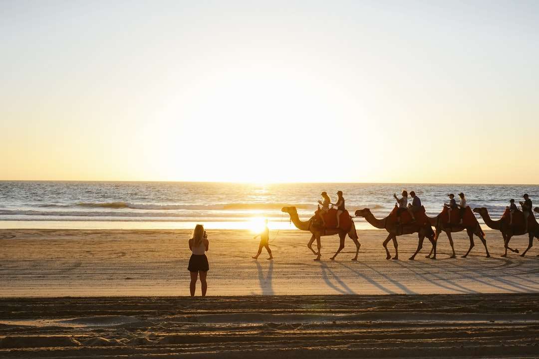 Sylwetka ludzi jeżdżących koni na plaży podczas zachodu słońca puzzle online