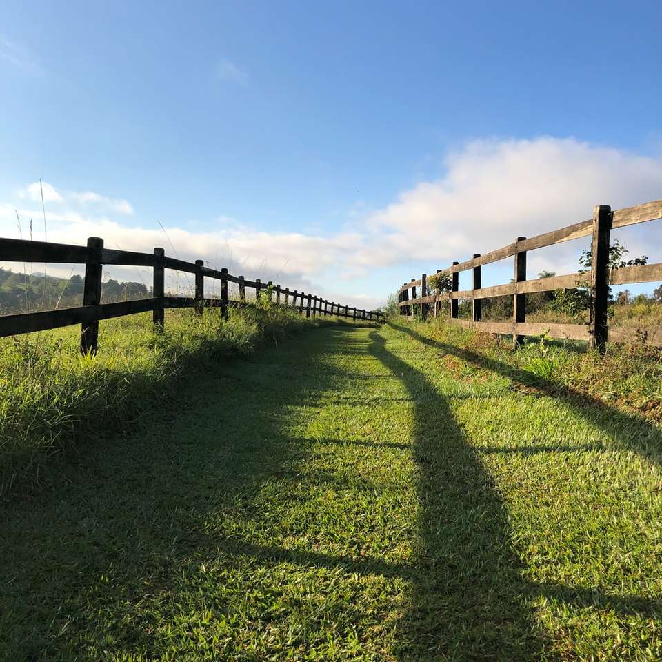 Zielona trawa pole z brown drewnianym ogrodzeniem pod błękitnym niebem puzzle online