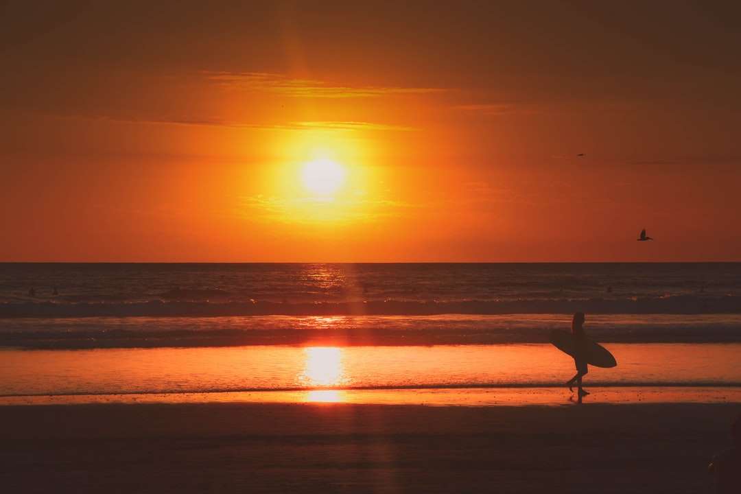Sylwetka osoby trzyma surfboard odprowadzenie na plaży puzzle online