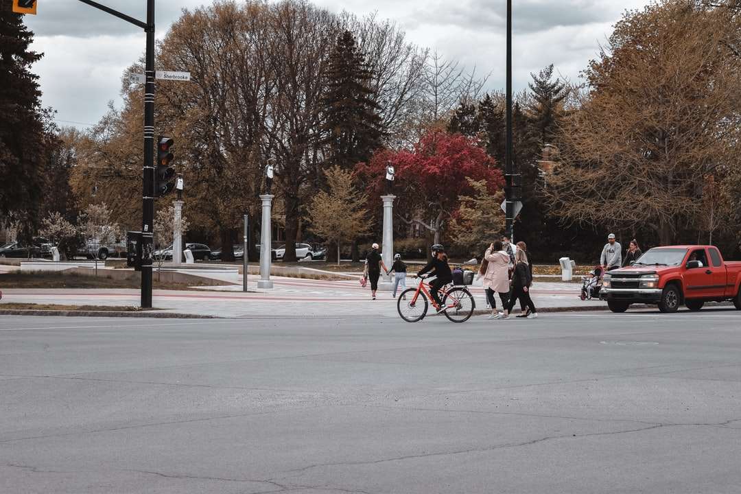 Ludzie jedzie na rowerach na drodze w pobliżu nagich drzew puzzle online