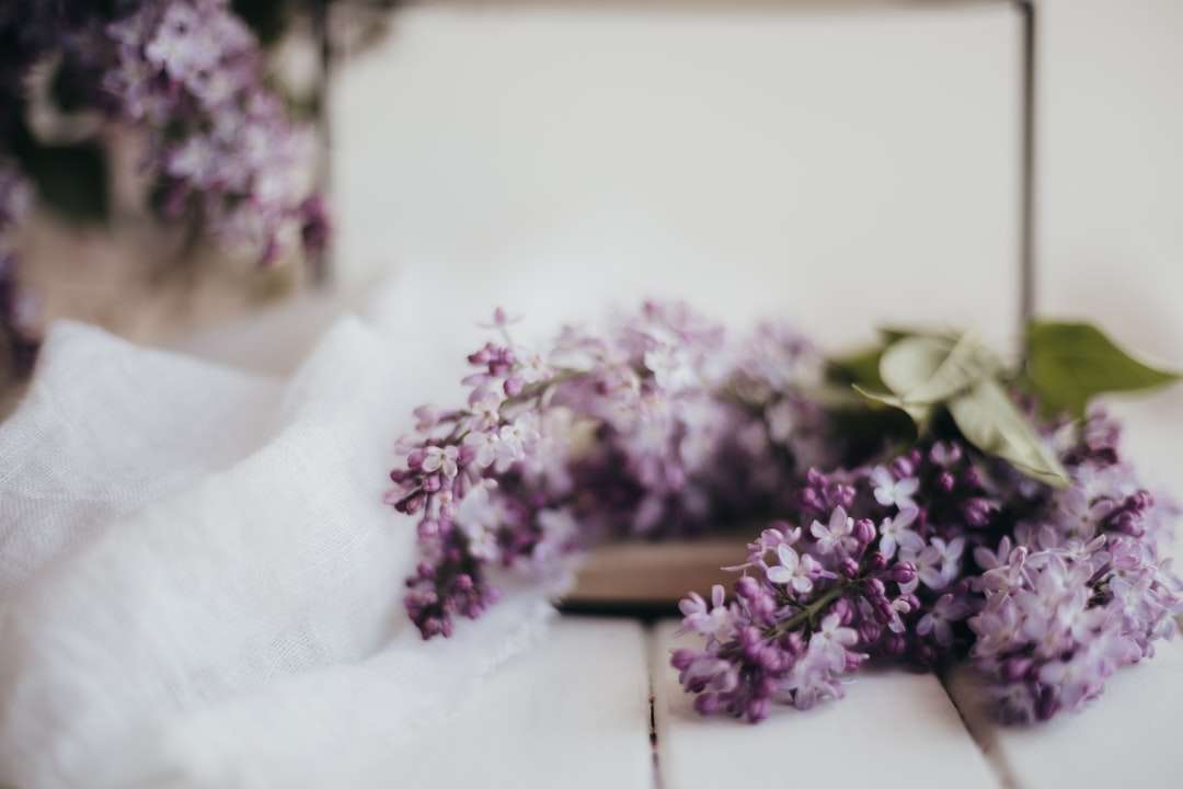 Purpurowe kwiaty na białym stole puzzle online