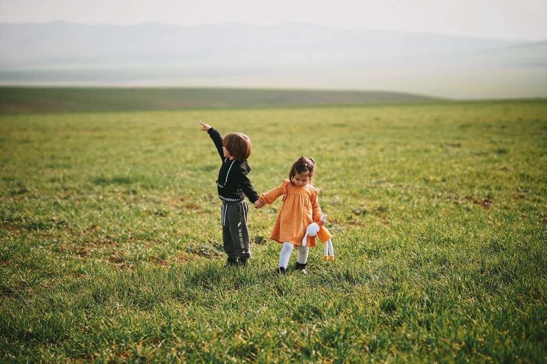 Dziewczyna w pomarańczowej sukni odprowadzeniu na zielonej trawy polu puzzle online
