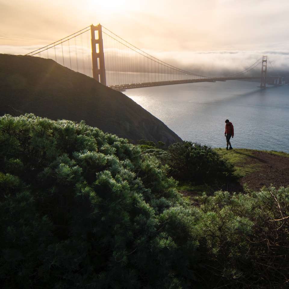 Osoba stojąca na zielonej trawie blisko Golden Gate Bridge puzzle online