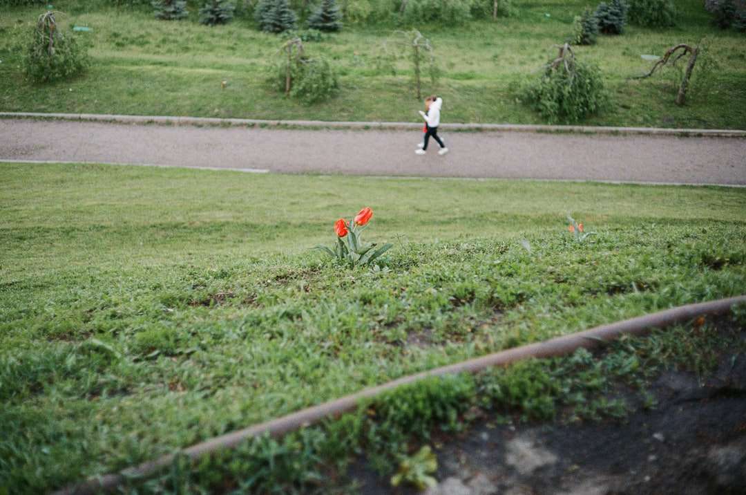 dziewczyna w czerwonej sukience biegająca po zielonej trawie! puzzle online
