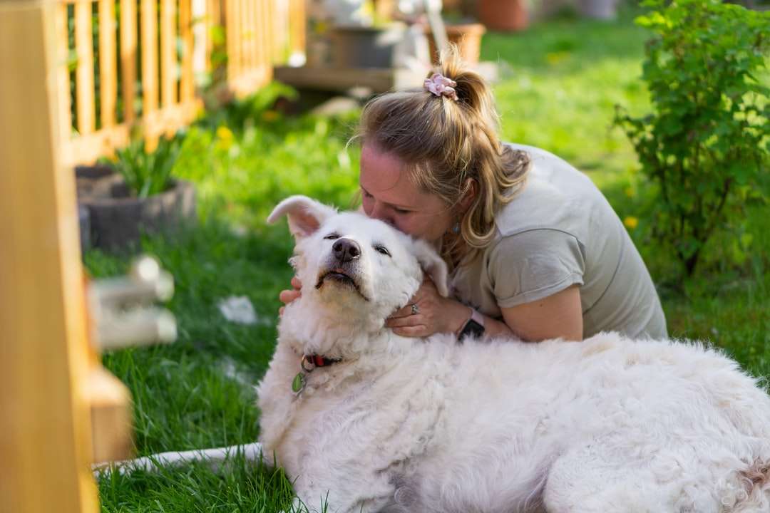Dziewczyna w brown koszula kłama na białym psa na zielonej trawie puzzle online