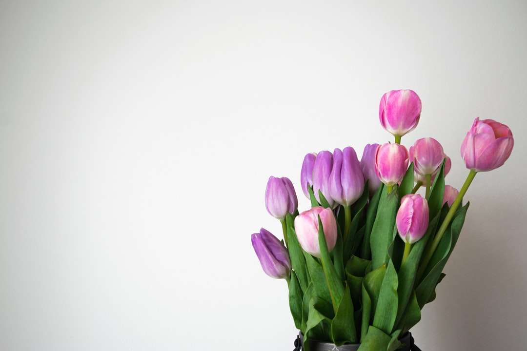 Różowe tulipany bukiet na białej powierzchni puzzle online