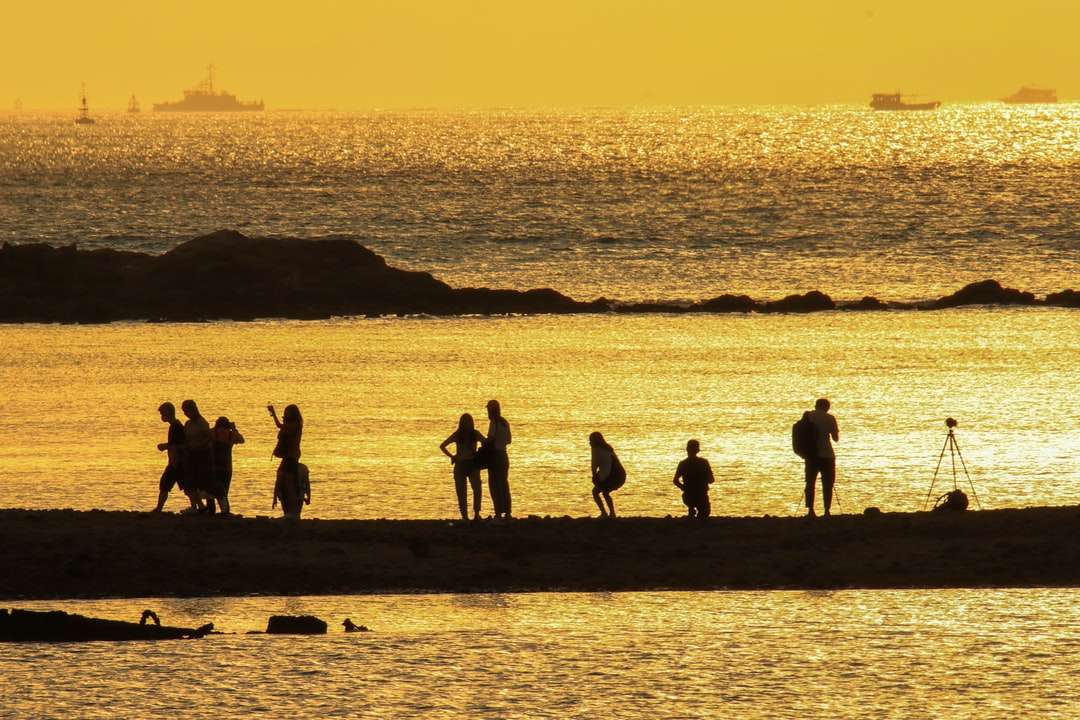 Sylwetka ludzi stojących na brzegu morza podczas zachodu słońca puzzle online