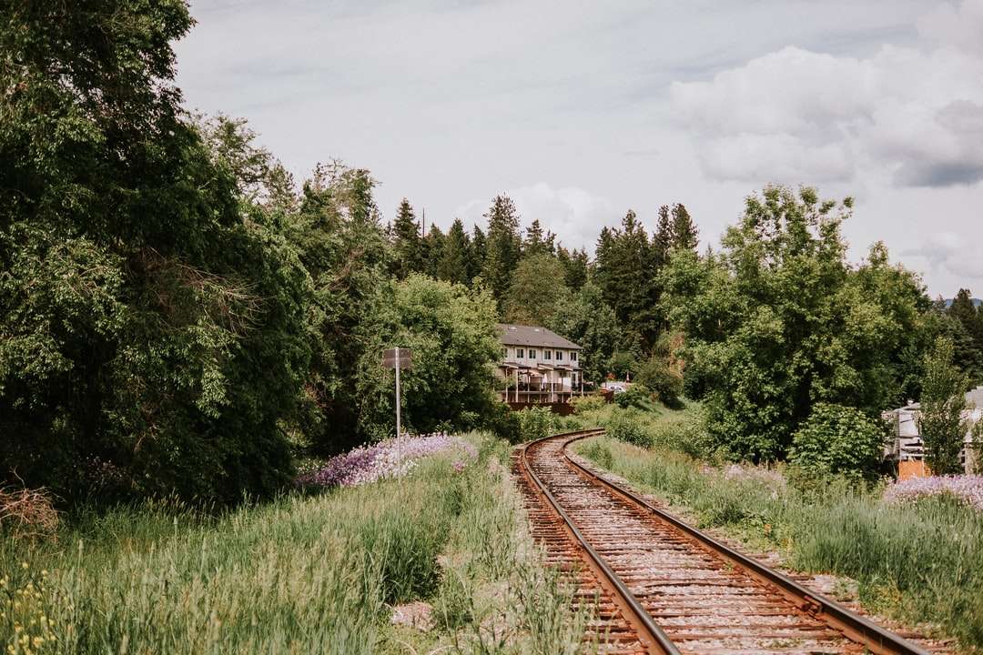 Браун влак на влака близо до зелени дървета през деня онлайн пъзел