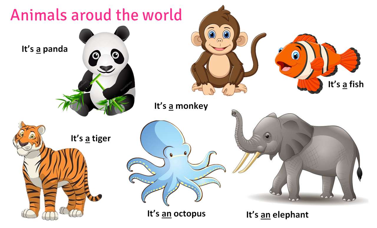 Zwierzęta na całym świecie puzzle online