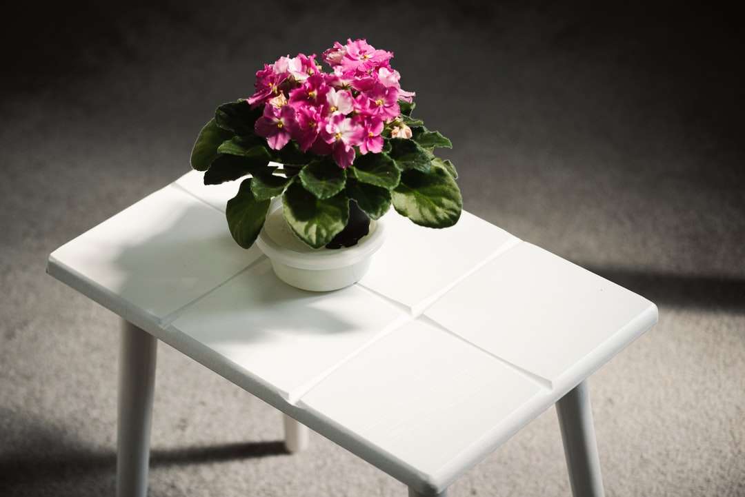 Różowe kwiaty na białym stole puzzle online
