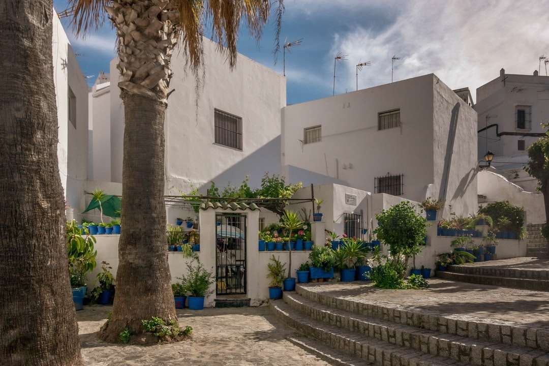 Biały betonowy budynek w pobliżu zielonych drzew w ciągu dnia puzzle online