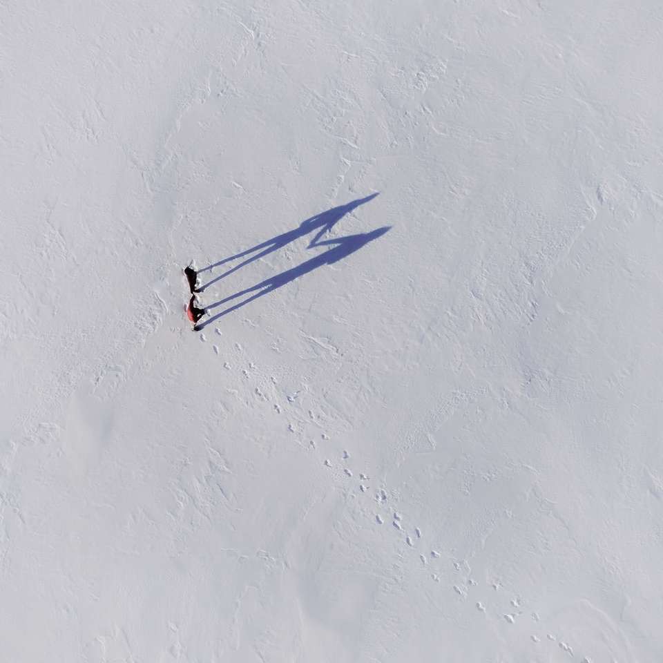 Osoba chodząca na śnieg pokryte polem w ciągu dnia puzzle online
