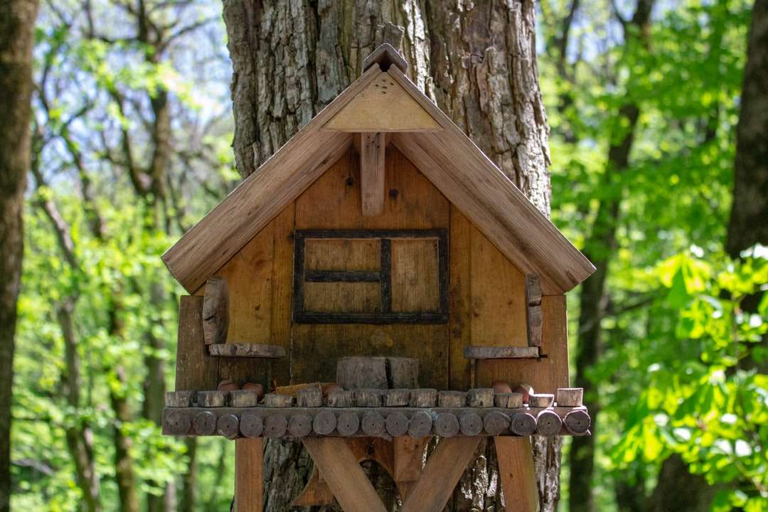 Brązowy drewniany birdhouse na drzewie puzzle online