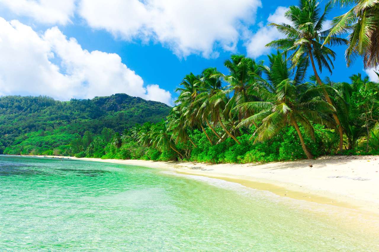 Tropikalna plaża puzzle online