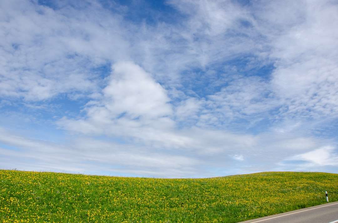 Zielona trawa pole pod błękitne niebo i białe chmury puzzle online